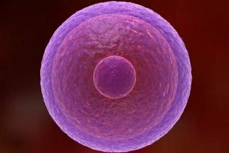 Pregnancy related image